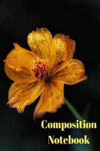 Composition notebook