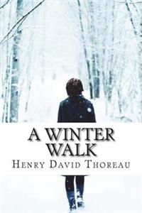 A Winter Walk