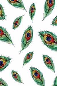 Peacock Notebook