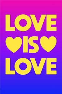 Bi Pride Notebook