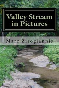 Valley Stream in Pictures
