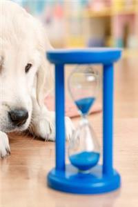 2019 Weekly Planner Cute Puppy Labrador Retriever Hourglass 134 Pages