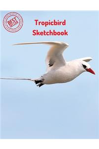 Tropicbird Sketchbook