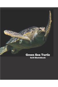 Green Sea Turtle 8x10 Sketchbook