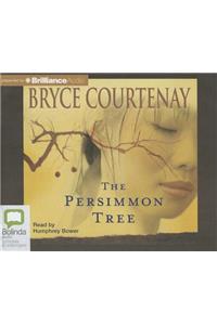Persimmon Tree