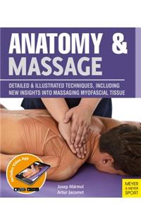 Anatomy & Massage