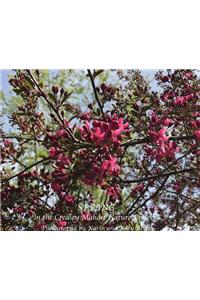 Spring in the Creasey Mahan Nature Preserve