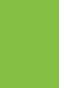 Lime Green 190 - Cornell Notes Notebook