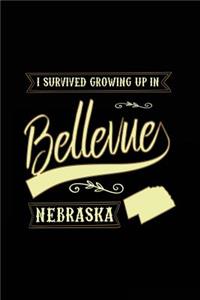 I Survived Growing Up In Bellevue Nebraska