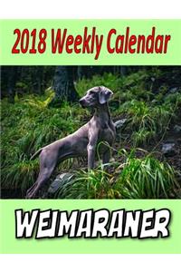 2018 Weekly Calendar Weimaraner