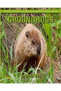 Groundhogs