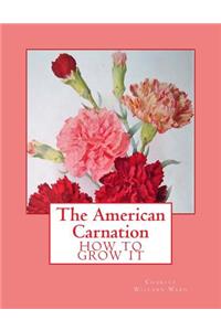 American Carnation