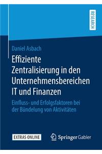 Effiziente Zentralisierung in den Unternehmensbereichen IT und Finanzen