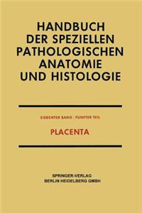 Placenta