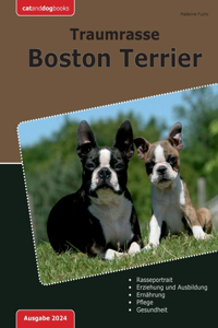 Traumrasse Boston Terrier