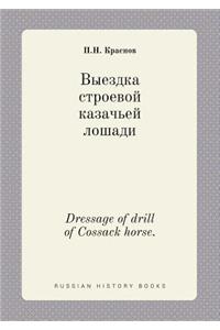 Dressage of drill of Cossack horse.