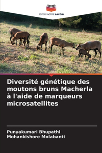 Diversité génétique des moutons bruns Macherla à l'aide de marqueurs microsatellites