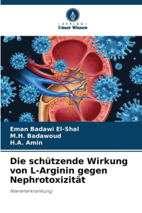 Die schützende Wirkung von L-Arginin gegen Nephrotoxizität