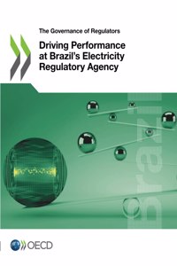 Driving Performance at Brazil's Electricity Regulatory Agency