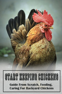 Start Keeping Chickens