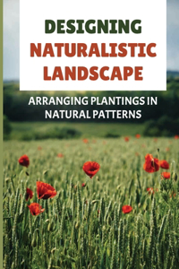 Designing Naturalistic Landscape