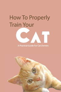 How To Properly Train Your Cat- A Practical Guide For Cat Owners