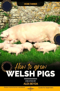 Welsh Pigs