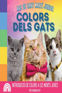 Arc de Sant Martí Junior, Colors dels Gats: Introducció de colors a les ments joves