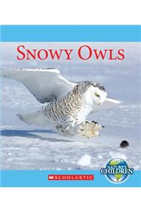 Snowy Owls