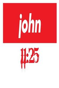John 11