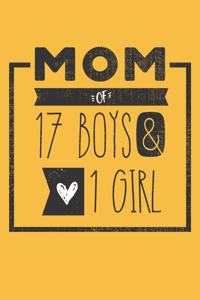 MOM of 17 BOYS & 1 GIRL