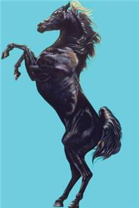 Horse Journal