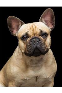 French Bulldog Notebook