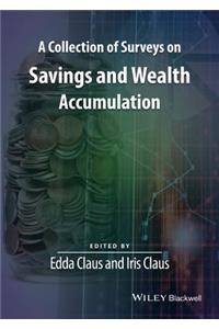 A Collection of Surveys on Savings and Wealth Accumulation