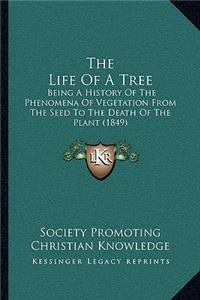 The Life Of A Tree