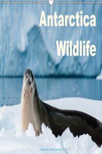 Antarctica Wildlife / UK-Version 2017