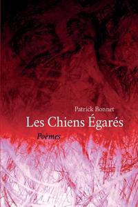 Les Chiens Egares