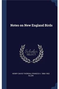 Notes on New England Birds
