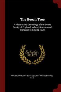 Beech Tree