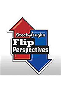 Steck-Vaughn Onramp Approach Flip Perspectives