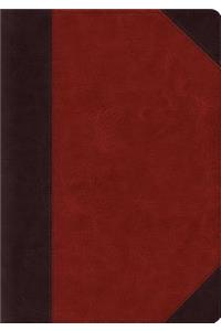 ESV Systematic Theology Study Bible