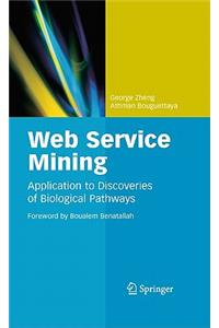 Web Service Mining