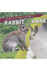 Tell Me the Difference Between a Rabbit and a Hare