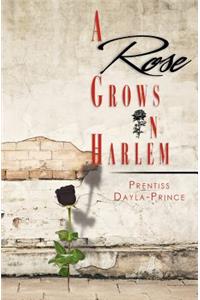 Rose Grows in Harlem