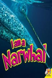 I Am a Narwhal