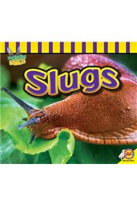 Slugs