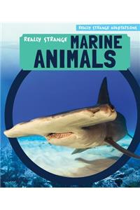 Really Strange Marine Animals