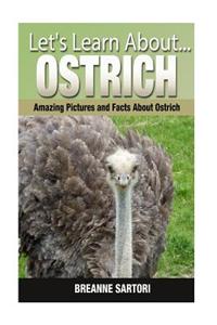 Ostrich: Amazing Pictures and Facts about Ostriches