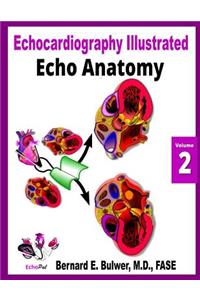 Echo Anatomy