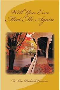 Will You Ever Meet Me Again